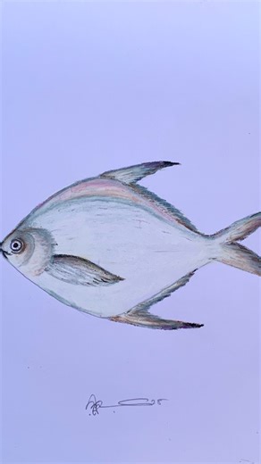 4.2K views · 53 reactions | রূপচাঁদা মাছ ড্রইং প্যাস্টেল কালার দিয়ে #Rupchandafish #fish #painting #fblifestyle | Rajib Easy Drawing Maker | Facebook