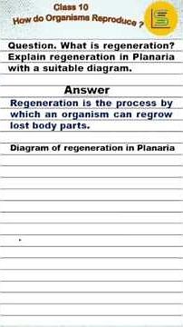 What is Regeneration? Explain regeneration in Planaria with a diagram | #education #biology