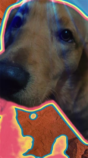 Jessie Stuart ❤️ (@jessieorthman1985)’s videos with sonido original - ScKDubstepOfficial