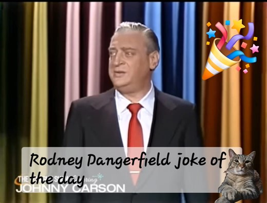 This is hysterical Rodney Dangerfield | Stephen Augle