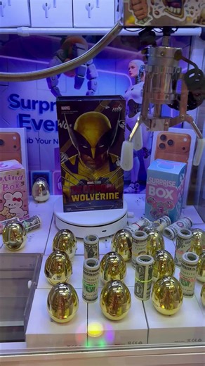 Can I Grab the Mystery Prize in the Claw Machine?