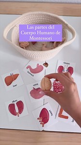 Montserrat Castuera | Aprende Crianza con Simplicidad on Instagram: "¡Guadalo! Y si no le doy pantallas a mis hijos en la primera infancia ¿cómo lo “entretengo” Montse? ➡️ Está es una de las preguntas más frecuentes que recibo. Recuerda mamá que tu trabajo NO es entretener a tu hijo. El lenguaje natural del niño es el JUEGO libre e independiente través de él expresa quién es y sus intereses. 👂Además podemos tener ciertas actividades o juegos dirigidos o estructurados complementando al juego lib