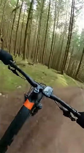 Airbus A400M Forest Crash 😱 #forest #explore #all #sky #fail