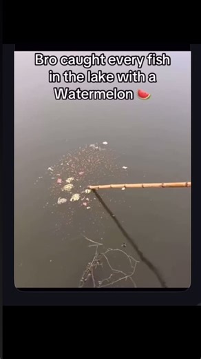 Meme_Folder on Instagram: "#memes #fyp #relatable #viral #funnymemes"