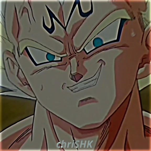 Majin Vegeta vs. Vegeta: Epic Dragon Ball Showdown