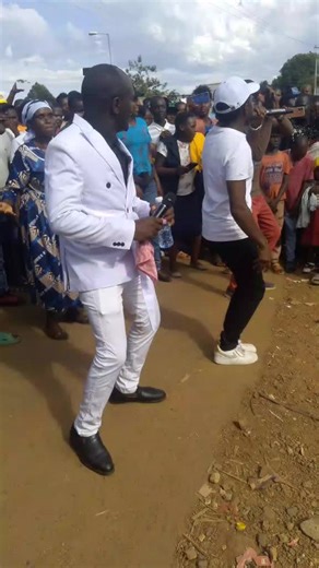 Celebrate a Happy New Year with Tree Hugging!