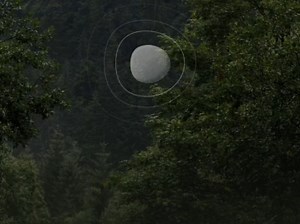 18分钟女声助眠冥想