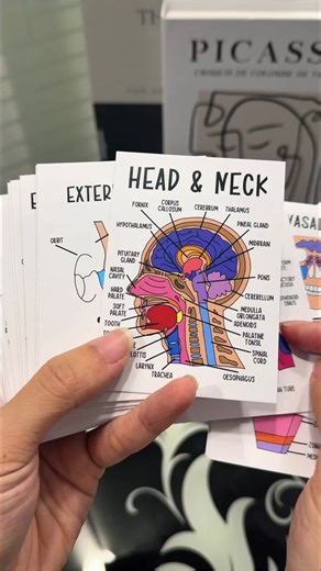 Color-coded human anatomy flash cards for UNDER $?! 😭📚 These make memorizing muscles, organs, and body systems SO much easier. If you’re in bio, pre-nursing, or just love a good study hack… you need these. 🧠✨ Study smarter, not harder! #anatomy #anatomyflashcards #studytok #studywithme