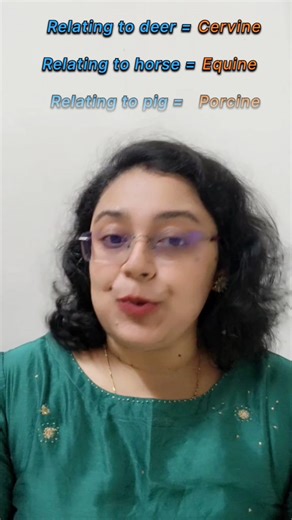 Animal adjectives 1. Relating to cats - Feline 2. Relating to dogs - Canine 3. Relating to bears - Ursine 4. Relating to deer - Cervine 5. Relating to horse- Equine 6. Relating to pig - Porcine 7. Relating to frogs - Ranine 8. Relating to snakes - Serpentine 9. Relating to fox - Vulpine #eloquentmasterclasses #englishcoach #Vocabulary #englishvocabulary #englishspeakingcourse #ieltsvocabulary #ielts #TOEFL #eloquent #EnglishVocabulary #englishlanguage #animals #adjectives #animallover #onlinelea