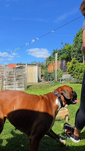 211 reactions · 15 comments | This is how we start practicing staying...