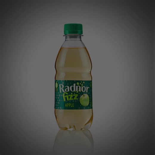 @radnorfizzaddict on TikTok