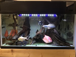 水中LEDライトの効果と使い方。おすすめの水中LEDライトとクチコミも