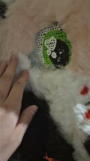 Final parts of making my fursuit head! Next up is the hand paws! #fursuit #fursuitmaking