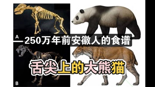 250万年前，安徽人的食谱：吃大熊猫