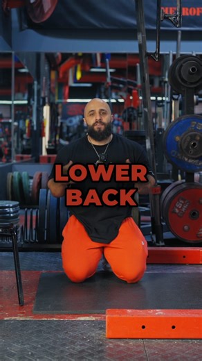 Ziad Mansour | Deep under the surface, running along our spines is a muscle called the mutifidi. You can imagine it as the first line of defense for our... | Instagram