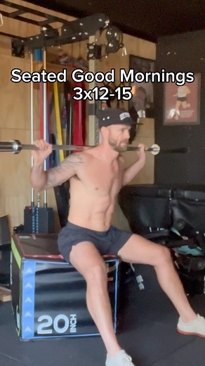 Seated Good Morning Exercise Demo 🏆 #gym #fitness