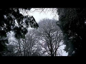 Nature Sound Effect Storm Sounds – Royalty-Free