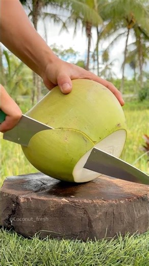 Too Hot Outside? Grab a Coconut