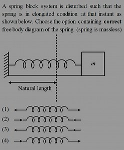 A spring block system is disturbed such that the spring is in e... | Filo