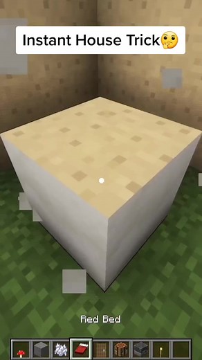 Instant House In Minecraft #fyp #minecraft #minecrafthacks #minecraftbuild #viral