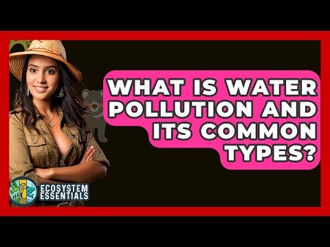 What Is Water Pollution And Its Common Types? - Ecosystem Essentials