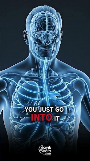 INJECTING VAGUS NERVE WITH MUSE CELLS MAKES IT WORK BETTER