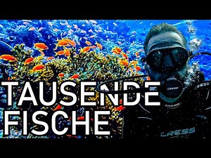 Finally diving in Egypt!