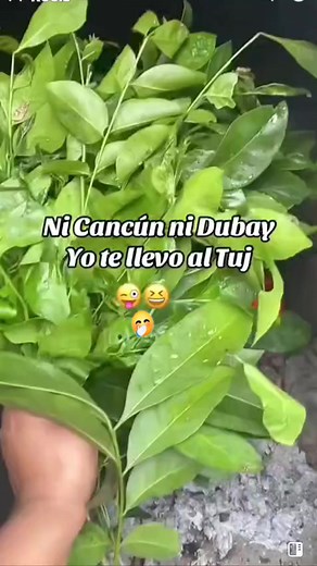 EN EL CHÚJ MEJOR 🤭😍😂 | Colotenango GT