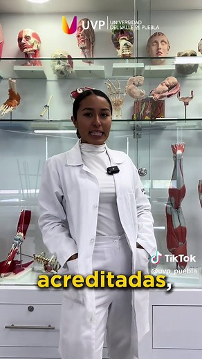 Licenciatura en Medicina en UVP: ¡Inicia tu carrera!