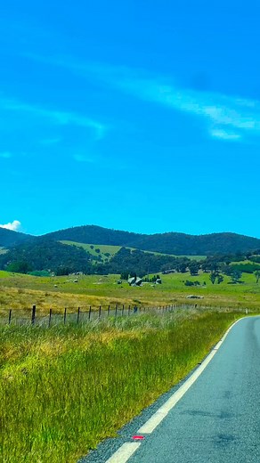 Good day to explore nature🌴 #tidbinbilla #sanctuary #exploringtidbinbilla #nature #naturevibes | J&K Down under