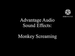 Advantage Audio Sound Effects: Monkey Screaming