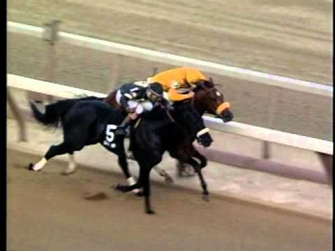 Lure & Devil His Due: Gotham S. - Aqueduct Racetrack 04/04/1992