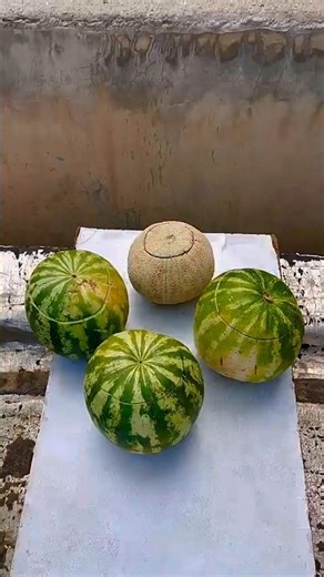 Watermelon Dropping from Roof | Satisfying Falling Sound Effect 🍉🎶#asmr #satisfying #relaxing