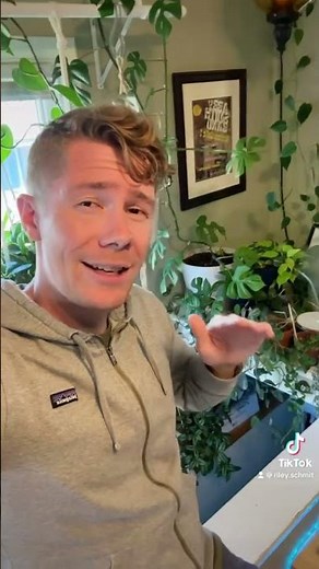 How to crow-call to attract crows. #crows #birdcall #crow #naturesounds