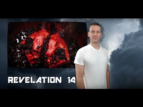 Revelation Chapter 14 Summary and What God Wants From Us