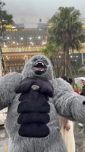 900 reactions · 21 comments | Baby baby anh chỉ muốn … 藍 DJ MEO | Linh Phương | Facebook