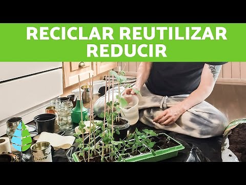 The 3 R's of Ecology ♻️ RECYCLE, REUSE and REDUCE