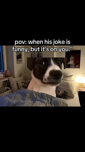 Funny Couple Moments: When Jokes Hit Home