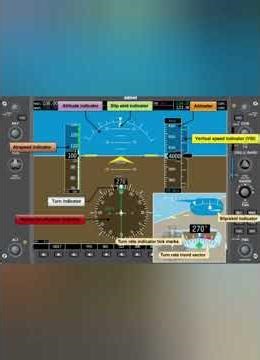 Airplane Flight Display