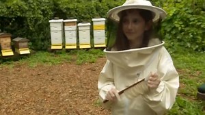 11-year-old launches campaign to save the bees - WTOP News