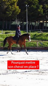 Comment mettre son cheval en place ⤵ sio.terredesportequestre.com/en-place #cheval #horse | Terre de Sport Equestre