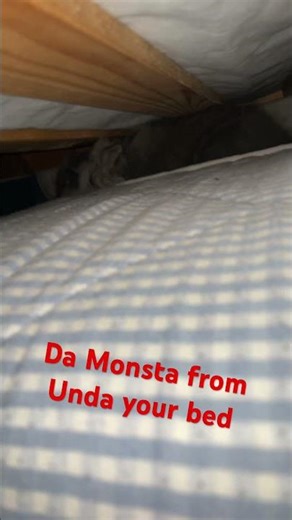 Da monsta from unda your bed be like: