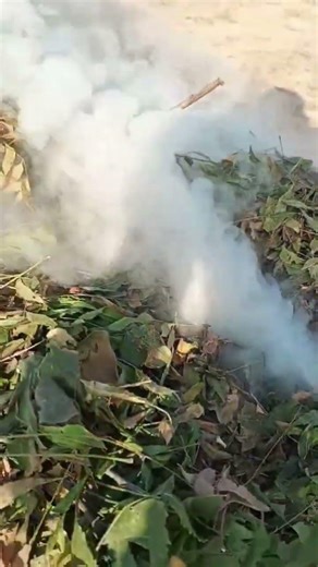 Seet Lehar (Dekh Le) by Filmy Ft. Tanu Rawat | Seet Lahar Filmy | Dekh Le Filmy #viral #shortvideo