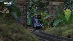 11K views · 556 reactions | The New York Botanical Garden Holiday...