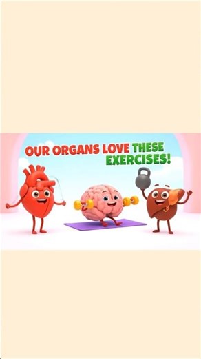 Our Organs Love These Exercises | Cute 3D Animation #Shorts
