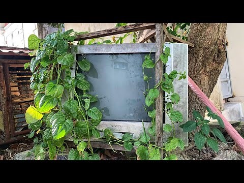 Restoration TV SONY Old broken | Restore Abandoned Color TV | Antique television