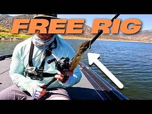 The Free Rig is the Secret You Need for More Fish!
