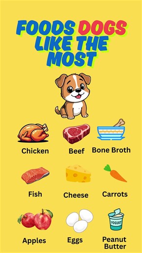 Foods That Dogs Like the Most 🐶 | Safe Human Foods for Dogs