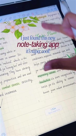 CollaNote: The Fun Way to Organize Your Notes