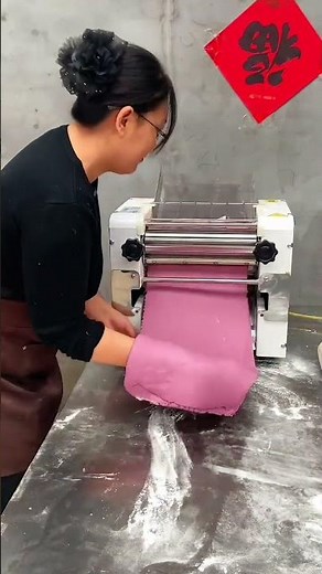 Medium-speed dough kneader, can knead both soft and hard dough #300 dough